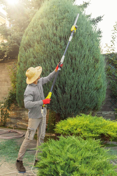 Glendora, NJ Tree Removal and Landscaping Services Company